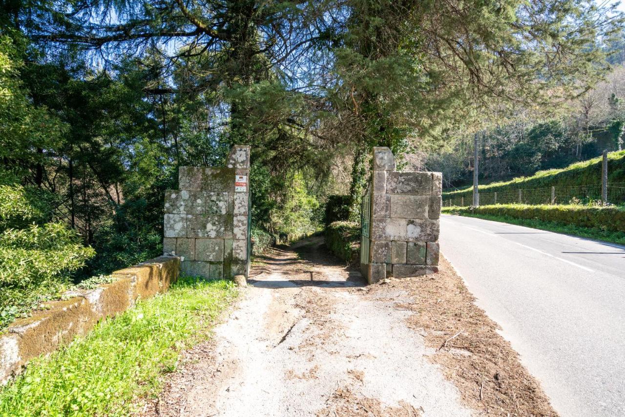 Quinta Das Lamas - Antiga Adega Vouzela Kültér fotó