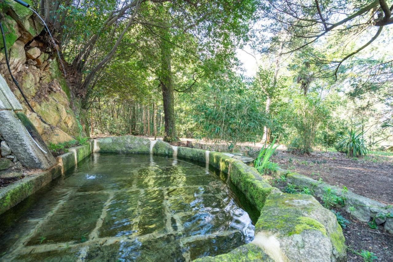 Quinta Das Lamas - Antiga Adega Vouzela Kültér fotó
